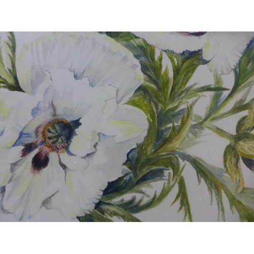 309 - LIZ PELLING (BRITISH 20TH CENTURY) 'WHITE ORIENTAL POPPY', WATERCOLOUR, SIGNED LOWER RIGHT, LABEL VE... 