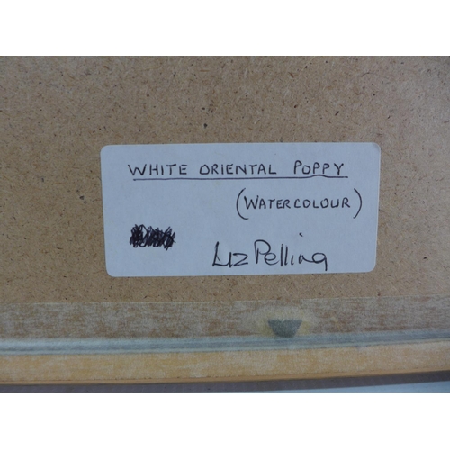 309 - LIZ PELLING (BRITISH 20TH CENTURY) 'WHITE ORIENTAL POPPY', WATERCOLOUR, SIGNED LOWER RIGHT, LABEL VE... 