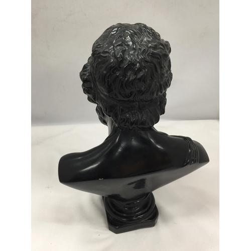 12 - A HEAVY RESIN BUST OF CLASSICAL GREEK POET TITLED - 'HOMERE', HEIGHT 30 CM