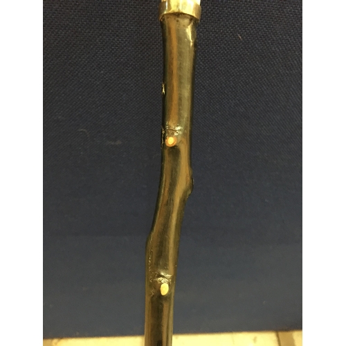 23 - A VINTAGE EBONISED WALKING STICK WITH HORN EFFECT BIRD TOP WITH JEWELLED DESIGN EYES