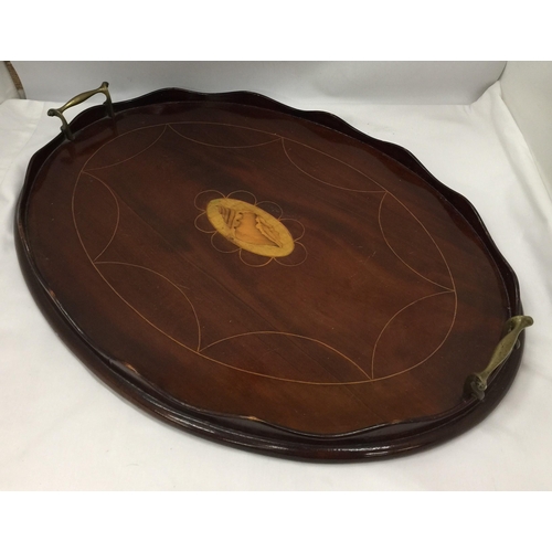 7 - AN EDWARDIAN MAHOGANY BUTLERS DRINKS TRAY WITH INLAID CONCH SHELL DESIGN