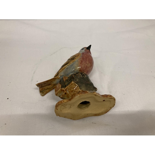 122 - TWO POOLE POTTERY PIN TRAYS, DIAMETER 12.5CM PLUS A MODEL OF A ROBIN - SMALL CHIP TO THE BEAK