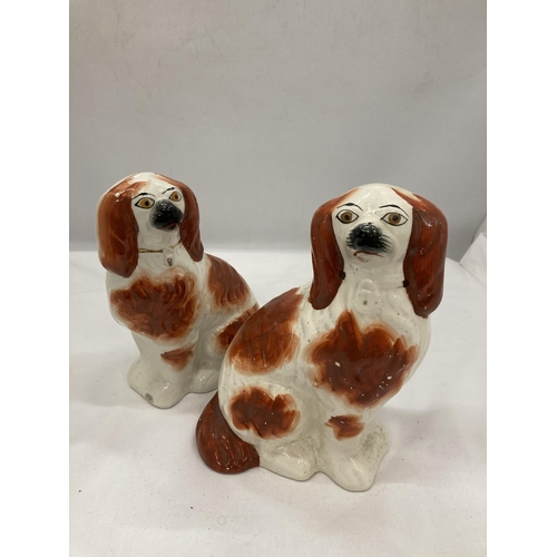 140 - A PAIR OF STAFFORDSHIRE STYLE SPANIEL DOGS, HEIGHT 20CM