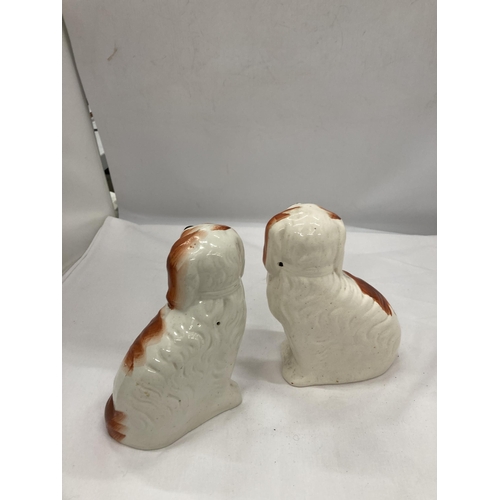 140 - A PAIR OF STAFFORDSHIRE STYLE SPANIEL DOGS, HEIGHT 20CM