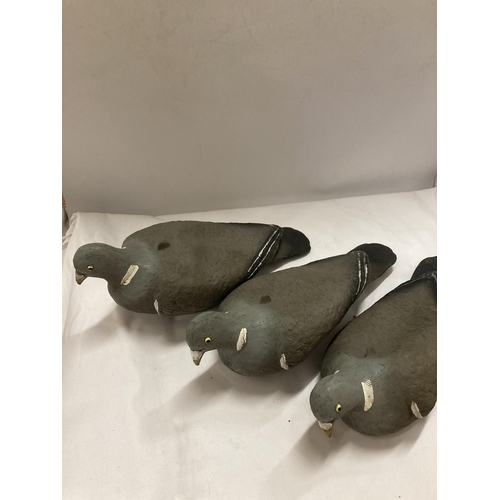 467 - THREE VINTAGE FLEXICOY PIGEON DECOYS WITH ORIGINAL PEGS