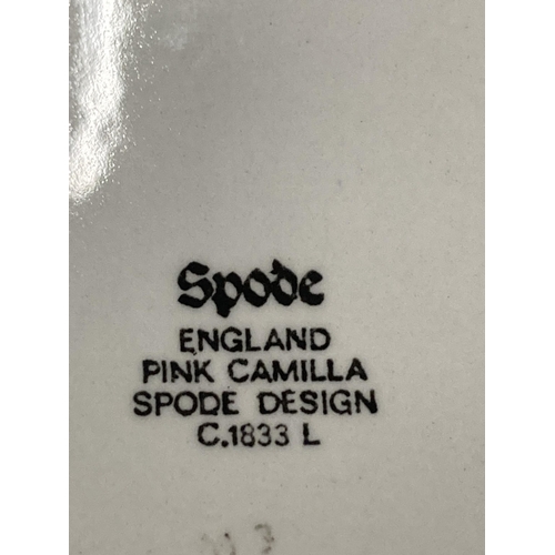 263 - A MIXED LOT OF CERAMICS TO INCLUDE SPODE FLEUR DE LYS BLUE AND WHITE GRAVY BOAT AND DISH, SPODE PINK... 