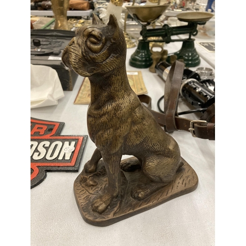 158 - A BRONZE MODEL OF A DOG, HEIGHT 22CM