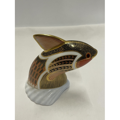 779 - A ROYAL CROWN DERBY TROPICAL FISH GUPPY (SECOND)