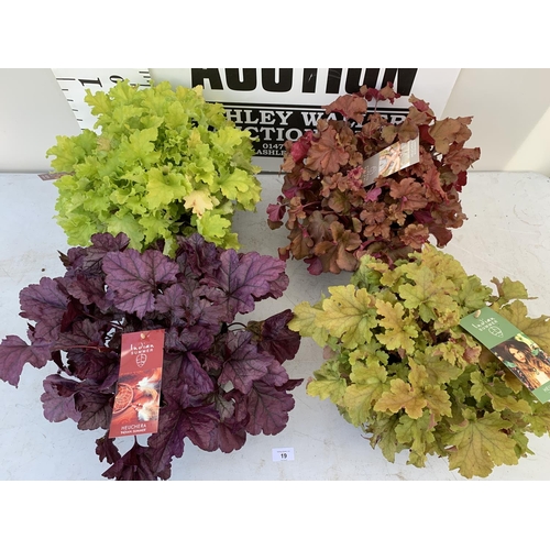 87 - FOUR ASSORTED VARIETIES OF HEUCHERA INDIAN SUMMER + VAT TO BE SOLD FOR THE FOUR PLANTS