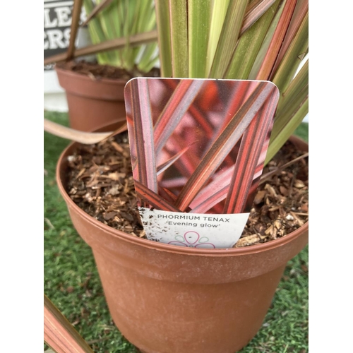 89 - FOUR ASSORTED VARIETY PHORMIUM IN 3 LTR POTS + VAT TO BE SOLD FOR THE FOUR