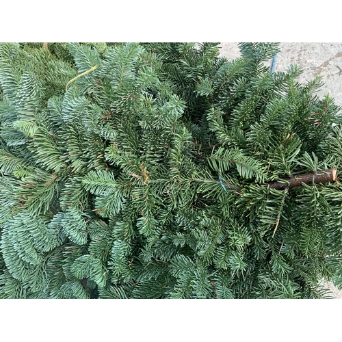 10 - THREE BUNDLES OF NORDMAN FIR FOR WREATHS, SWAGS, GRAVE POTS ETC + VAT. TO BE SOLD FOR THE THREE