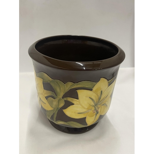 761 - A LARGE MOORCROFT BERMUDA LILY PLANTER