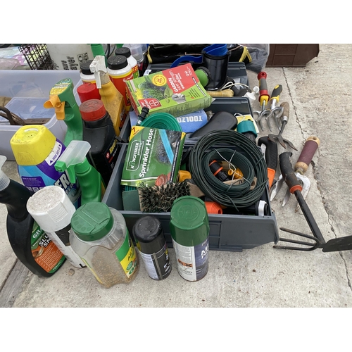 2000 - AN ASSORTMENT OF GARDEN ITEMS TO INCLUDE SPRAYS AND BRUSHES ETC