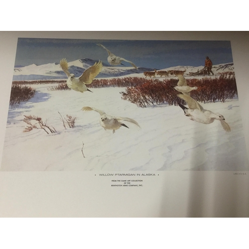 985 - THREE REMINGTON'S PORTFOLIOS OF PRINTS- DOGS AND BIRDS