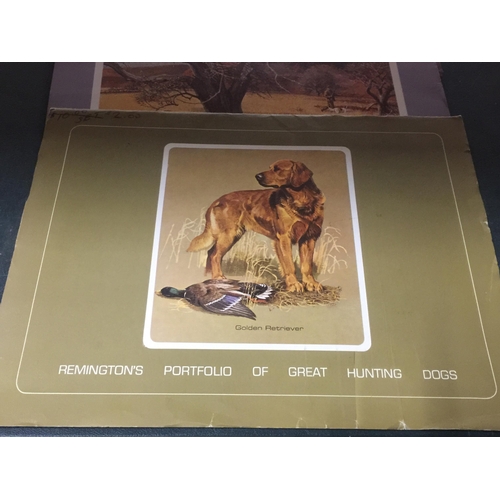 985 - THREE REMINGTON'S PORTFOLIOS OF PRINTS- DOGS AND BIRDS