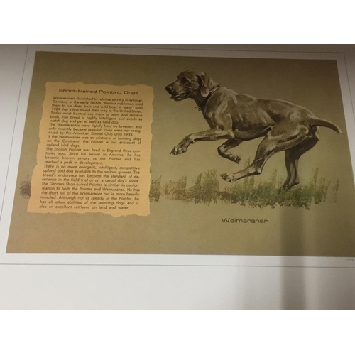 985 - THREE REMINGTON'S PORTFOLIOS OF PRINTS- DOGS AND BIRDS