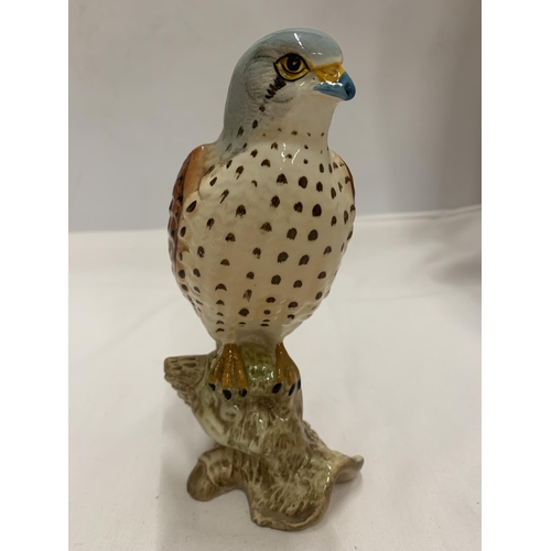 798 - A BESWICK FALCON BIRD MODEL