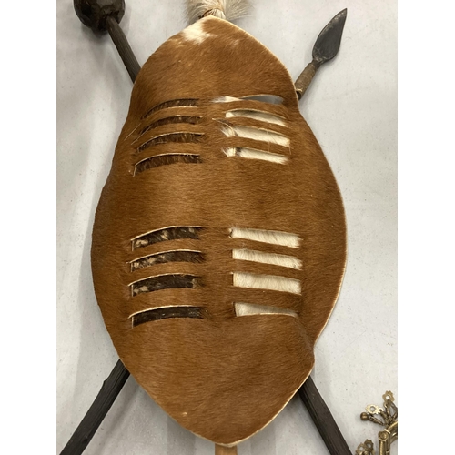 146 - A VINTAGE ANIMAL HIDE SHIELD WITH KNOBKERRIE AND SPEAR