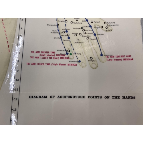 253 - A VINTAGE MEDICAL WALL CHART