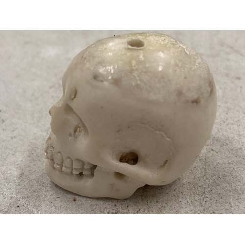 292 - A BONE SMALL SKULL MODEL