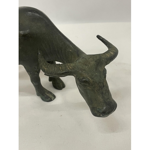 24 - A BRONZE FIGURE OF A WATER BUFFALO