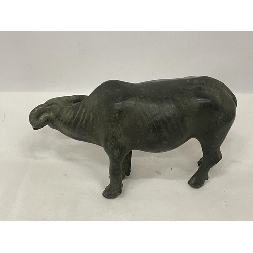 24 - A BRONZE FIGURE OF A WATER BUFFALO