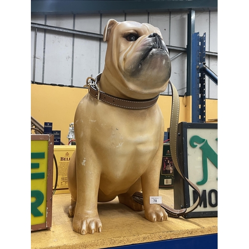 78 - A VERY LARGE BULLDOG FIGURE WITH LEAD AND COLLAR 27