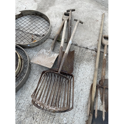 2068 - AN ASSORTMENT OF VINTAGE TOOLS TO INCLUDE POTATO SHOVELS AND A SPADE ETC