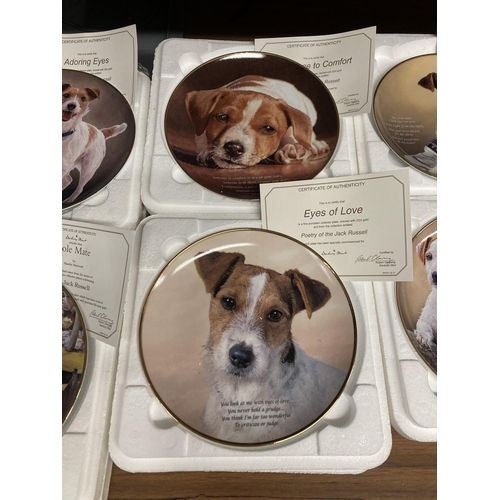 1466 - A COLLECTION OF DANBURY MINT, JACK RUSSELL THEMED CABINET PLATES WITH CERTIFICATES - 14 IN TOTAL