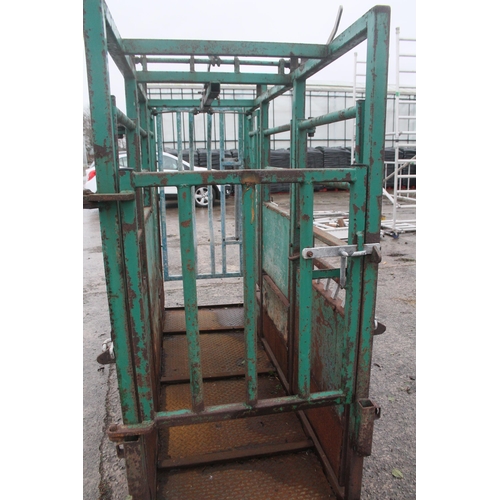 250 - CATTLE  CRUSH NEW FLOOR  + VAT