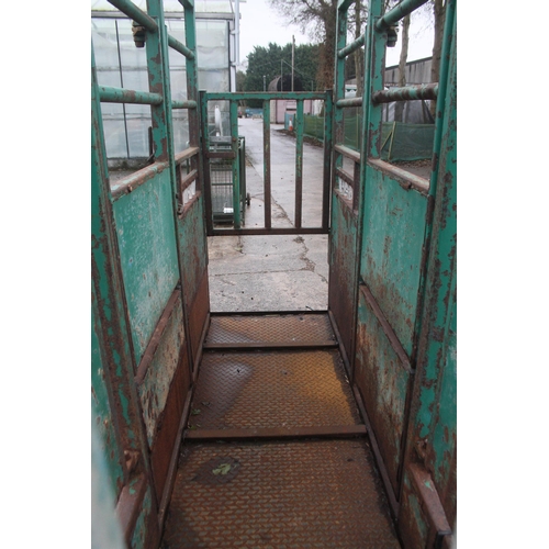 250 - CATTLE  CRUSH NEW FLOOR  + VAT