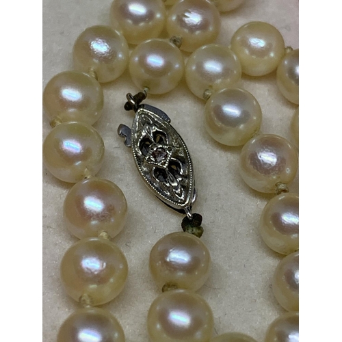 34 - A PEARL NECKLACE WITH 9CT WHITE GOLD CLASP