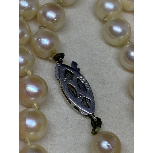 34 - A PEARL NECKLACE WITH 9CT WHITE GOLD CLASP