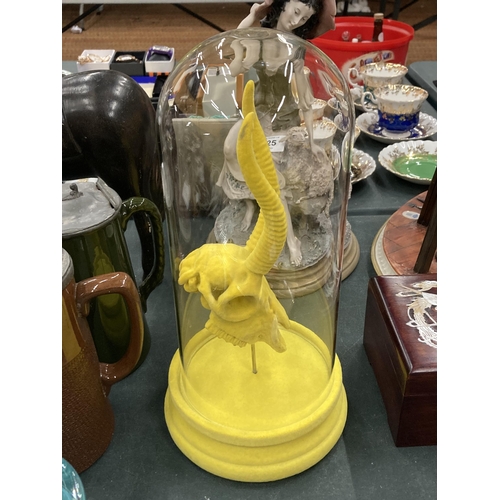 131 - A YELLOW ANIMAL SKULL IN A GLASS DOME