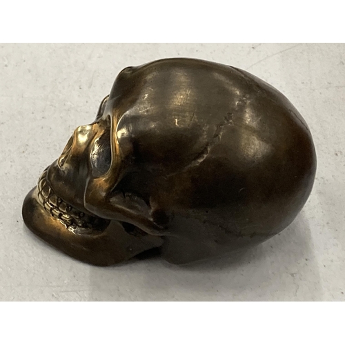 161 - A SMALL BRONZE SKULL MODEL