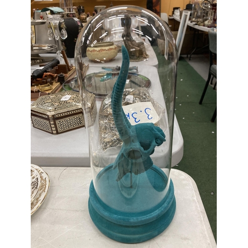 180 - A TURQUOISE ANIMAL SKULL IN A GLASS DOME