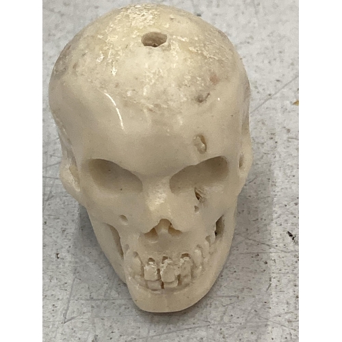 202 - A BONE SMALL SKULL MODEL, HEIGHT 3CM