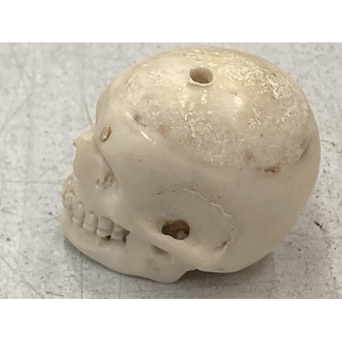 202 - A BONE SMALL SKULL MODEL, HEIGHT 3CM