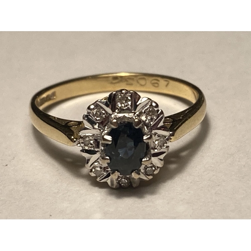 164 - AN 18 CARAT GOLD RING WITH CENTRE SAPPHIRE SURROUNDED BY EIGHT DIAMONDS SIZE L