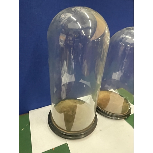 19 - TWO TALL GLASS DOMES ON WOODEN BASES - 41CM AND 44 CM APPROX.