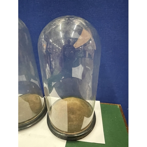 19 - TWO TALL GLASS DOMES ON WOODEN BASES - 41CM AND 44 CM APPROX.