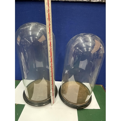 19 - TWO TALL GLASS DOMES ON WOODEN BASES - 41CM AND 44 CM APPROX.