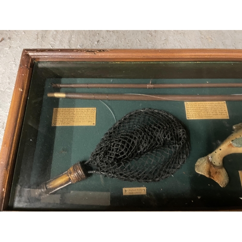 36 - A VINTAGE RAINBOW TROUT FLY FISHING  DISPLAY CASE