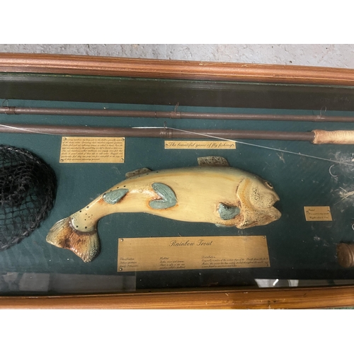 36 - A VINTAGE RAINBOW TROUT FLY FISHING  DISPLAY CASE