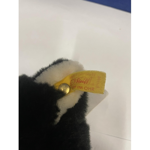 41 - A VINTAGE STEIFF BLACK AND WHITE CAT WITH EAR TAG BUTTON