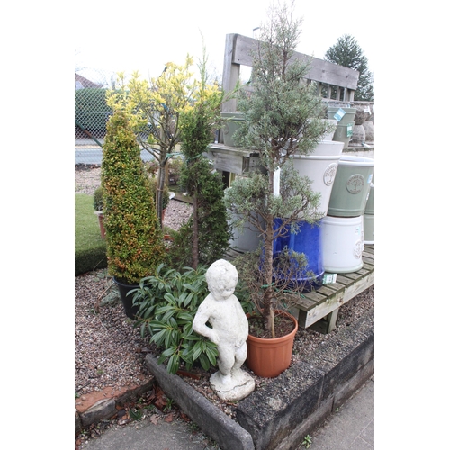 110 - 8 VARIOUS PLANTS AND BOY FIGURE + VAT