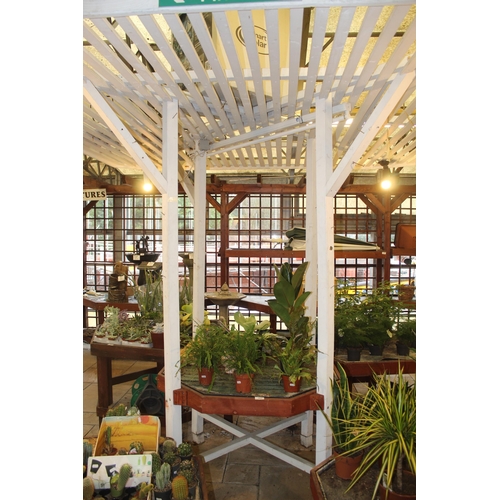 163 - TABLE WITH VARIOUS PLANTS WITH CANOPY  + VAT