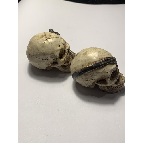 682 - TWO PIRATE SKULLS