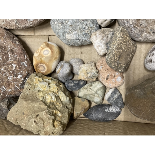 952 - A BOX OF ASSORTED GEMOLOGICAL STONES ETC