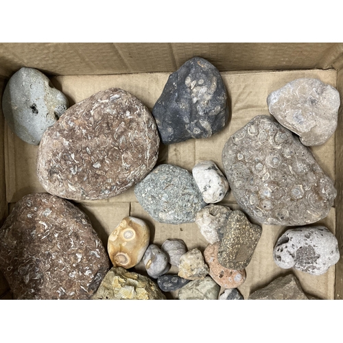 952 - A BOX OF ASSORTED GEMOLOGICAL STONES ETC